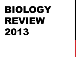 Biology Review 2013