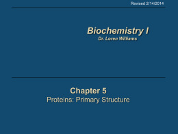 5 Protein Primary Structure - School of Chemistry and Biochemistry