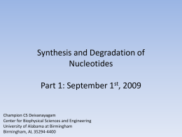 Biosynthesis of Nucleotides 1 - University of Alabama at Birmingham