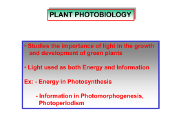 Photobiology lecture