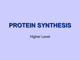 Protein Synthesis PPT