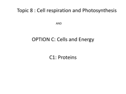 photosynthesis - HS Biology IB