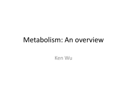Ken Wu`s Metabolism Tutorial Dec 2012