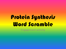 Protein Synthesis Word Scramble
