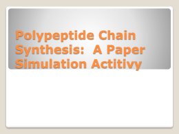 Polypeptide Chain Synthesis: A Paper Simulation