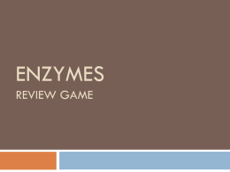Enzymes Review Game with Answers 2014 2015