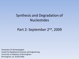 Biosynthesis of Nucleotides 2 - University of Alabama at Birmingham