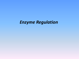 Enzyme Regulatory Strategies