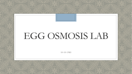 egg osmosis lab