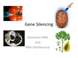 Gene silencing - Get Biotech Smart