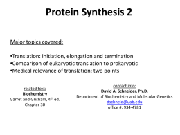 Protein Synthesis 2