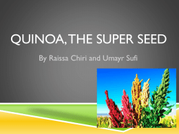 PowerPoint - Quinoa