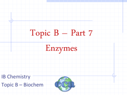 B7 Enzymes
