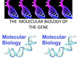 THE MOLECULAR BIOLOGY OF THE GENE