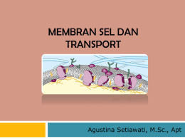 Membran sel dan transport