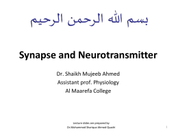 10synapse & neurotransmitter