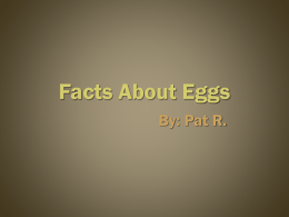 Facts About Eggs