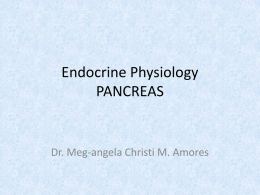 Endocrine PhysiologyPANCREAS