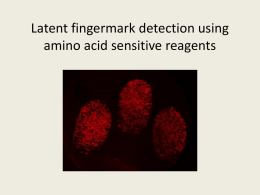 Latent fingermark detection using amino acid sensitive reagents