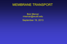 protein mediated membrane transport