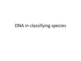 DNA in classifying species