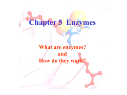 Classification of Enzymes