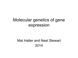 Molecular genetics of gene expression