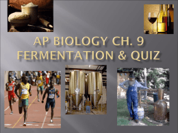 AP Biology Ch. 9 Fermentation and Quiz Ppt