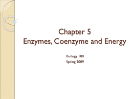 Chapter 5 Enzymes, Coenzyme and Energy