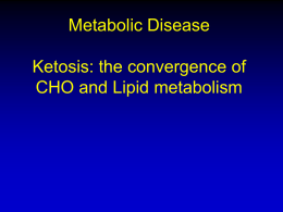 LB Metabolic Diseases