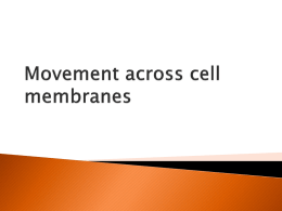 Movement across cell membranes v2