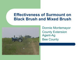 Evaluation of Surmount on Black Brush