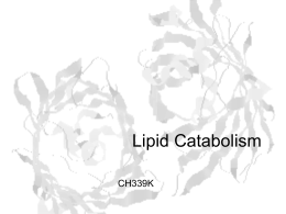 Lecture Slides for Fatty Acid Catabolism