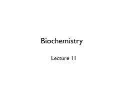 Lecture_11_F11