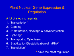 Nuclear gene expression 1