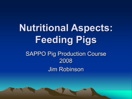 Nutritional Aspects: Feeding Pigs