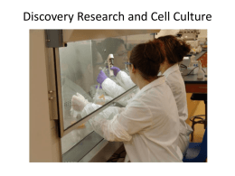 Discovery Research and Cell Culture