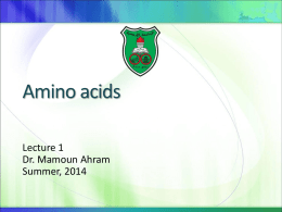 Amino Acids slides