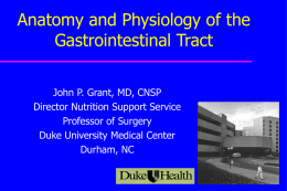Anatomy and Physiology of the Gastrointestinal Tract