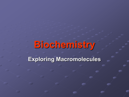 Biochemistry LTF