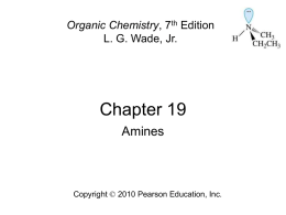 Chapter 19 Amines