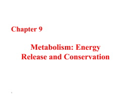 Microbial Metabolism- Aerobic Respiration