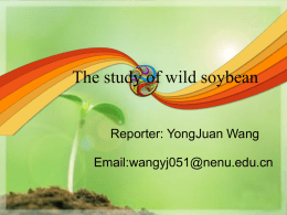 The introduce of wild soybean