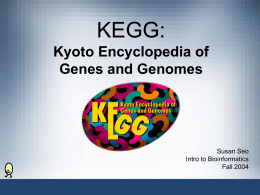 KEGG: Kyoto Encyclopedia of Genes and Genomes