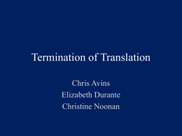 Termination in Translation