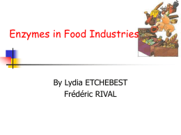 Immobilization of enzymes