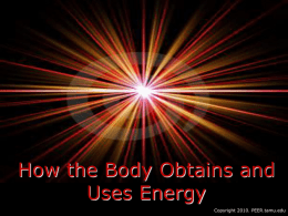 How the Body Obtains and Uses Energy