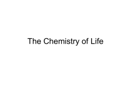5. The Chemistry of Life
