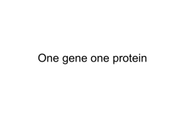 7. One gene one protein