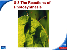 8-3 The Reactions of Photosynthesis